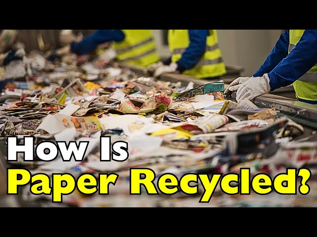 How Is Paper Recycled?