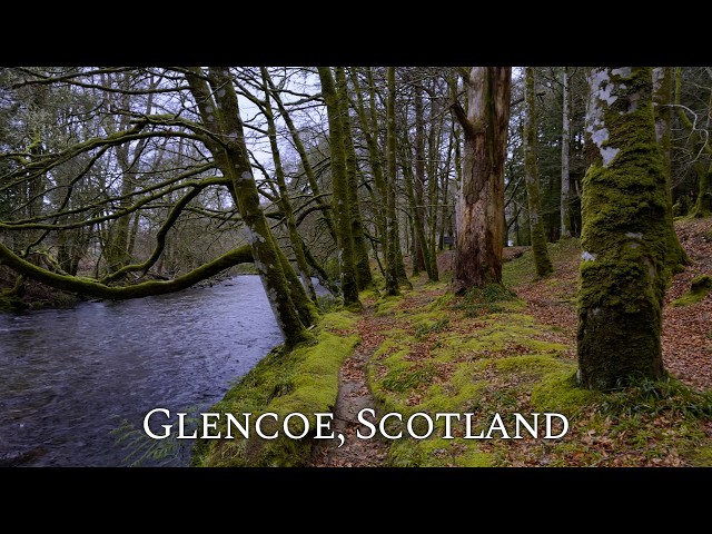 Mindful Walk in Glencoe, Scotland | 4K Nature Therapy | Binaural Audio