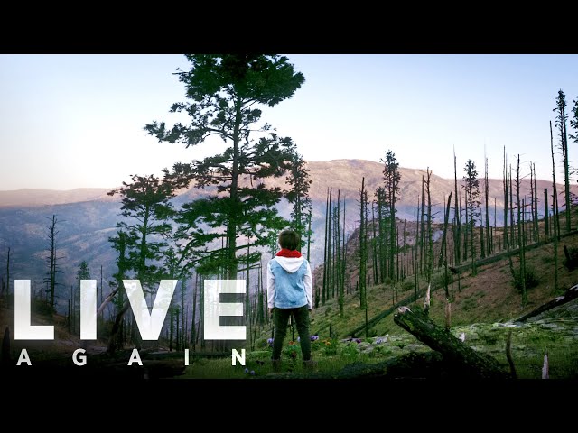 Live Again – Church of Scientology Super Bowl 2023 Commercial (60 sec ad)