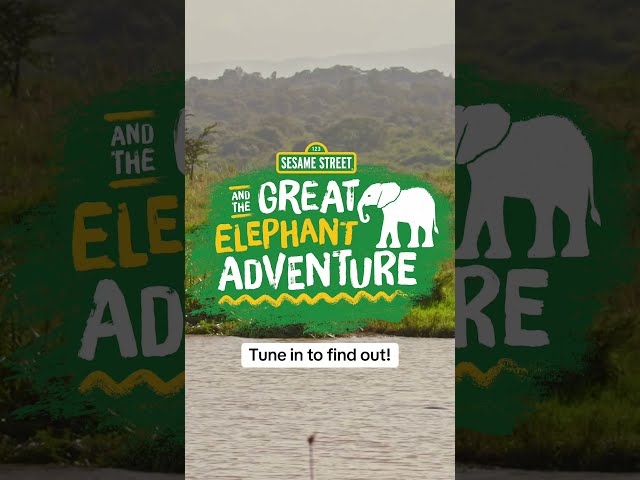 What animal would you like to see on a safari?  #naturepbs #wildlife #animals #safari #sesamestreet