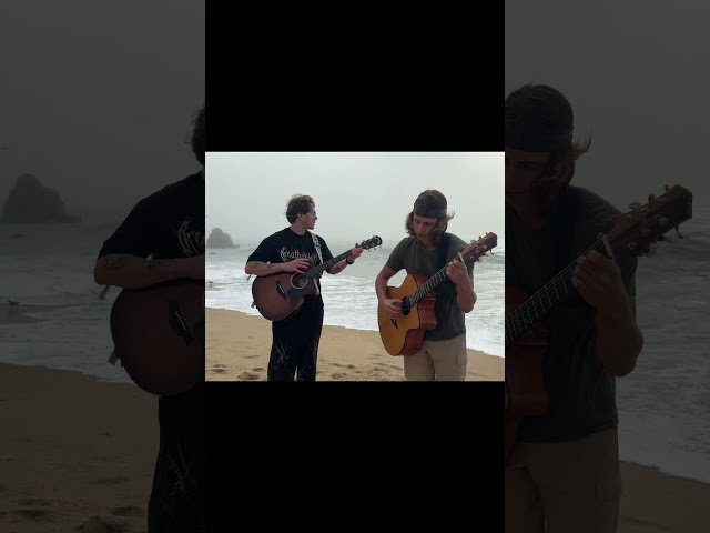 Brotherhood among friends #guitar #shorts