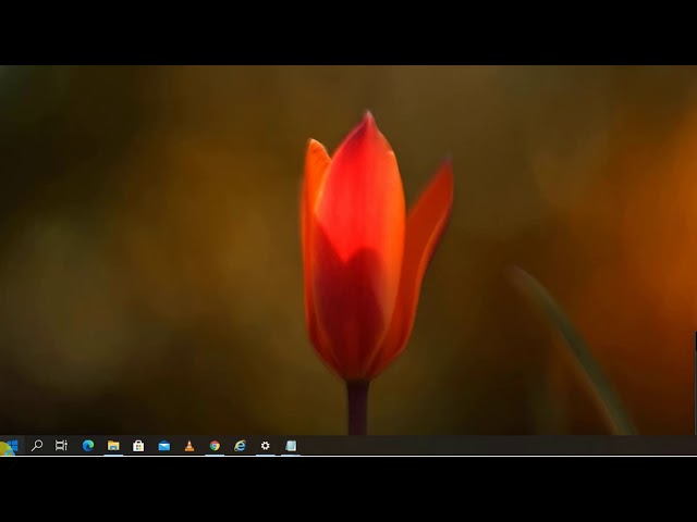 Oracle Forms and Reports 10gR2 Installation