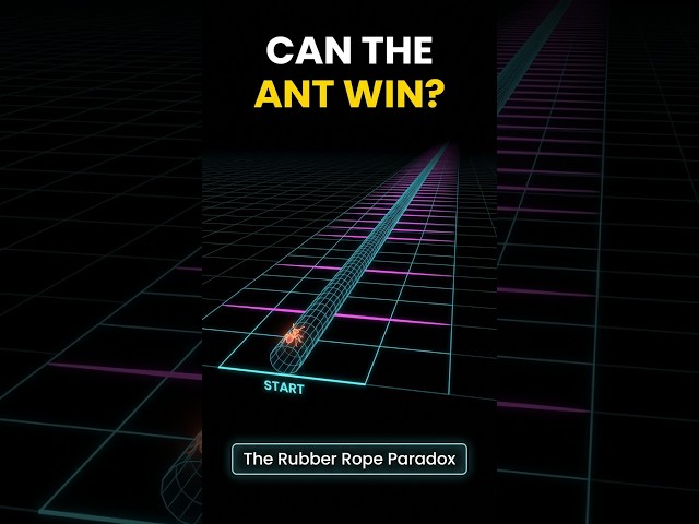 Can a 1 cm/s Ant Beat a 1 km/s Rope? 🐜 The Rubber Rope Paradox #Shorts