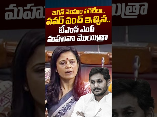 TMC MP Mahua Moitra Counter To YS Jagan: జగన్‌ మొహం పగిలేలా..పవర్‌ పంచ్‌ | YCP | Nethra Tv Telugu