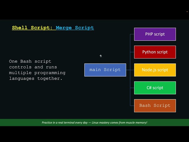 Demo Shell Script With PHP Python and NodeJS