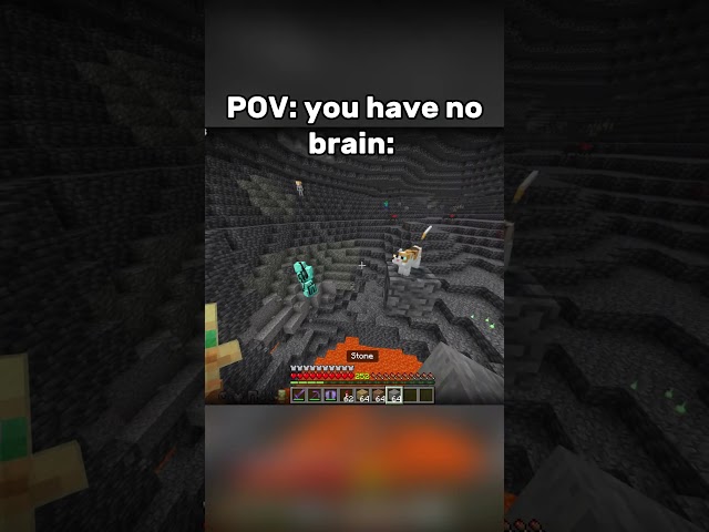 Bro could've gotten both 😭😭#minecraft #funny #gaming