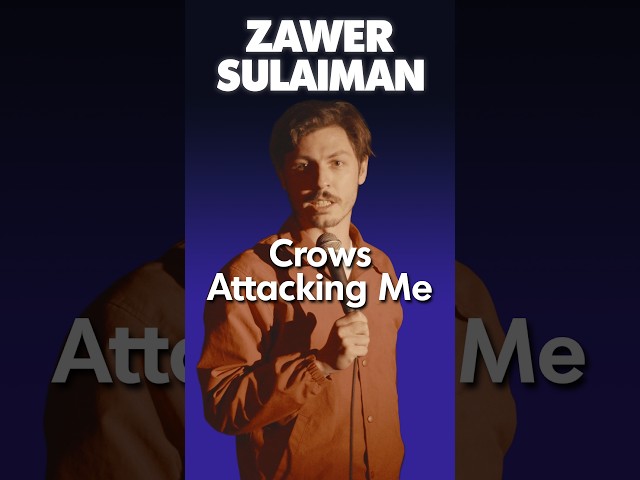 Crows Attacking Me #standup #comedy #standupcomedy #jokes #funny #crows #crowdwork #comedian #shorts
