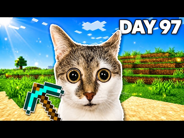 Cat Survived 100 Days in Minecraft (Compilation)