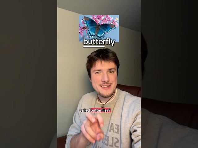 Why are butterflies called that?