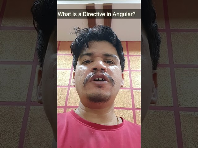 what is a Directive in angular ? | #shorts #angular #tbtu