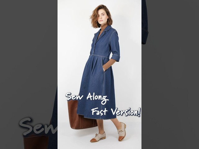 710 Shirtwaister Dress Sew Along