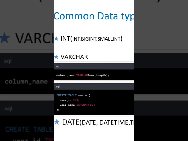 The 8 Most Common SQL Data Types Explained | SQL Data Types