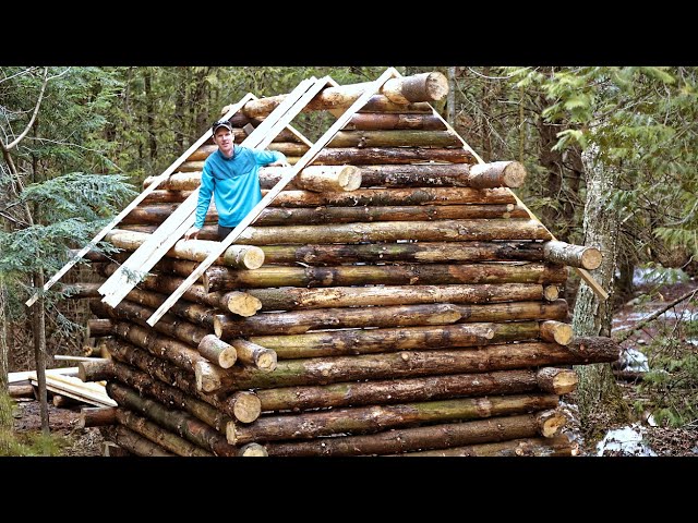 Framing Out the Log Cabin Roof! | Fresh Ground Maple Coffee, Milling Lumber, Fired Pancakes