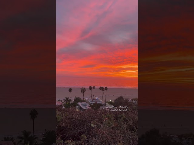 Proof that nature doesn’t need a filter🌅 #californiasunset #oceanwaves #wavesounds #beachvibes #sky