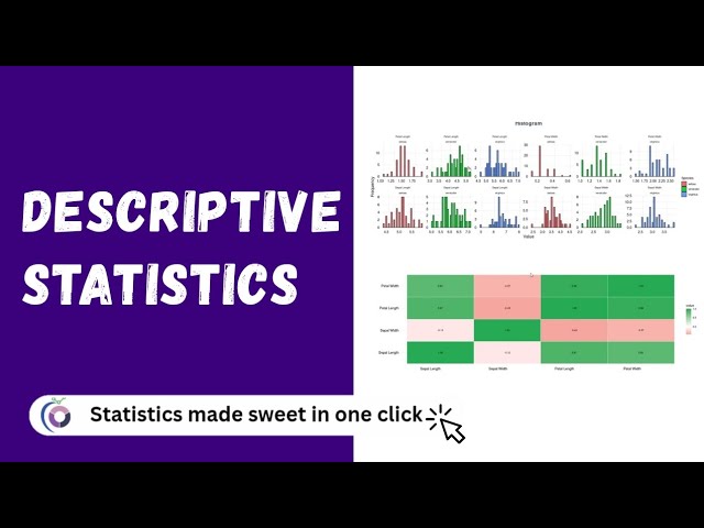 RAISINS Descriptive Statistics Quick Tutorial | Statoberry 