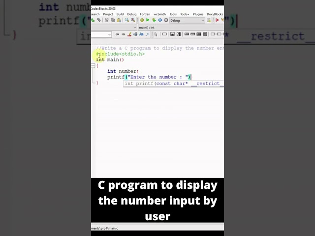 C Program To Display The Number Input By The User