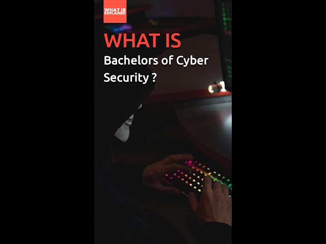 Bachelor of Cyber security