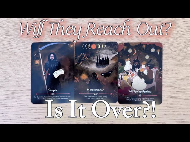 💞✨ Is This Connection OVER?💌 Will They Reach Out? 📩 | Timeless Pick a Card