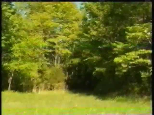 The Unknown Creature - Politcal Parody
