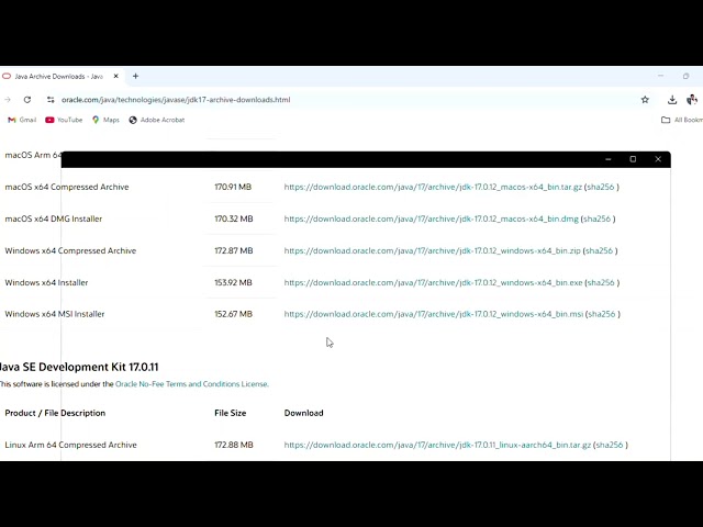 Java JDK 17 Installation Tutorial | Download & Setup Java on Windows | Mickey Tech Tutorials