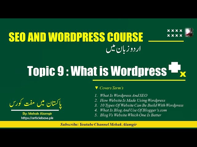WordPress in Urdu | Digiskills Wordpress | Blog Vs Website