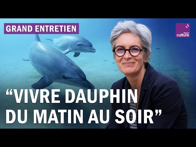 Plongée dans l'intelligence des dauphins : grand entretien avec l'éthologue Fabienne Delfour
