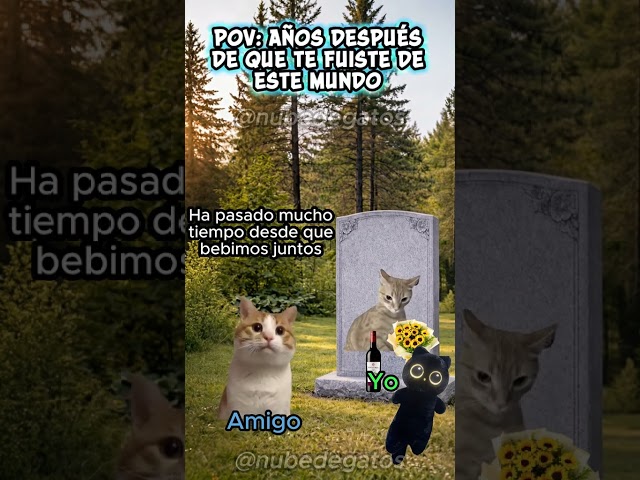 YEARS AFTER YOU LEFT THIS WORLD #funnycats #cats #memes #memeshorts
