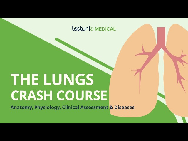 Learn the Lungs from Start to Finish 🫁 High-Yield Medical Crash Course