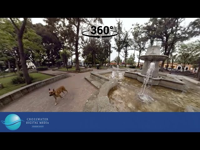 VR/360 : Conzatti Garden - Oaxaca, Mexico