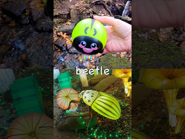 Babies Toddlers Kids | Learn Bug Insect Names at the Waterfall: Slug Weevil Beetle Mosquito