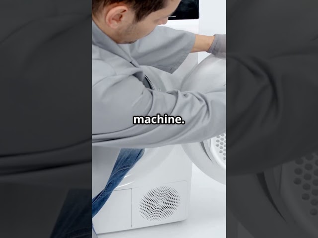 Why Does My Clothes Dryer Squeak? Don’t Let That Noise Ruin Laundry Day #zapfixers #appliancerepair