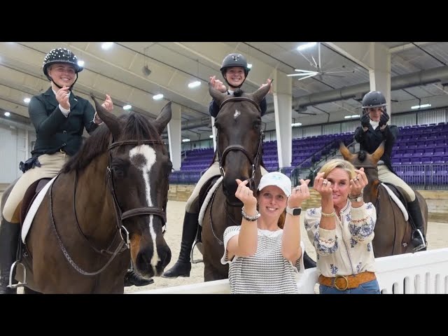 My NEW HORSE Reveal !!