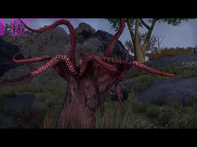 Elder Scrolls  Online | GeForce Gtx 1050 Ti