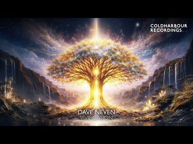 Dave Neven – Vivification