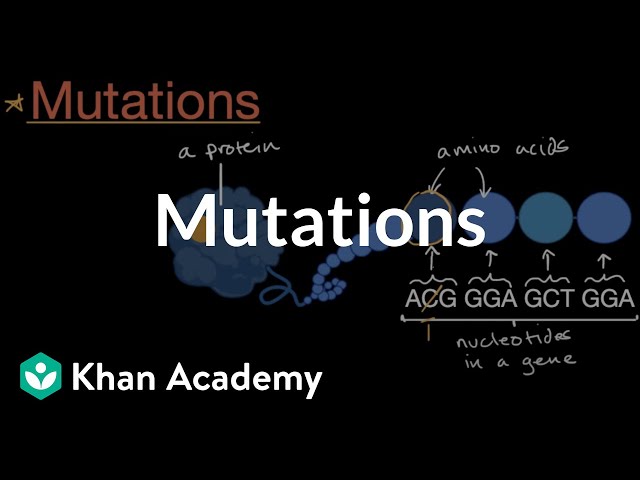 Mutations | Inheritance and variation | Middle school biology | Khan Academy