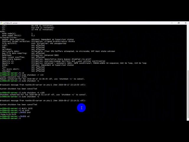 Linux Basic Command
