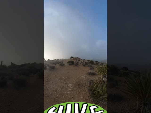 Mt. Ryan at Joshua Tree National Park (Hike 360° VR Video)
