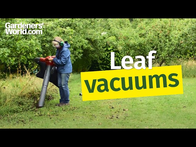 A buyer's guide to leaf blower/vacuums