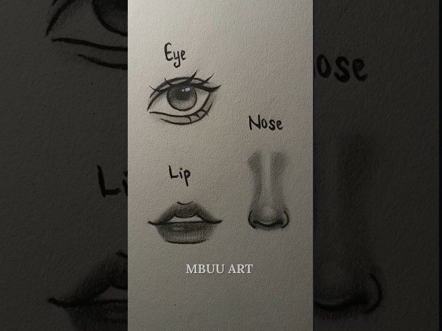 How to draw Eye, Nose, and Lip's Tutorial✏️ #drawing #tutorial #howtodraw #art
