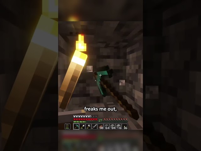 The Hardcore Minecraft Mining Experience
