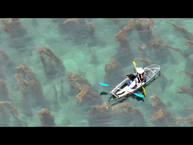 The Ultimate Summer Must-Have: Fully Transparent Kayaks & SUPs!
