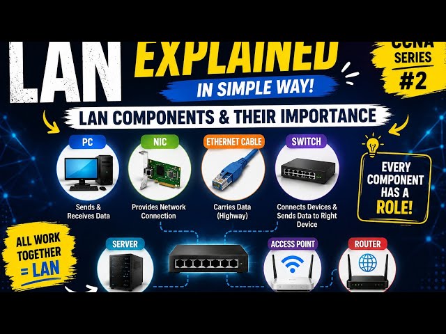 LAN Explained for Beginners | What is LAN & How Does It Work? | CCNA