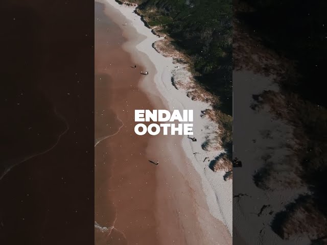 Endaii - Oothe | Learnspace Records