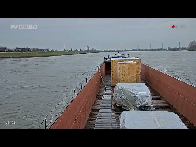 📢 UNLOADING OF A LOAD IN HAMBURG 🚢