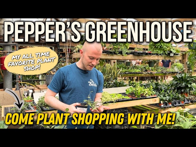Come Plant Shopping With Me At Pepper's Greenhouse (My ALL TIME Favorite Plant Store!)