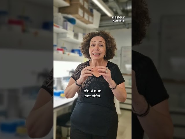 Your Biological Age - Carla Saleh