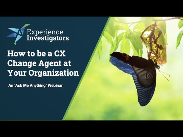 How to be a CX Change Agent