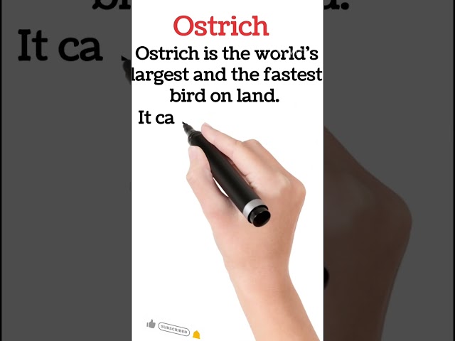 Ostrich ll fact about Ostrich for kids ll running animal l largest Bird
