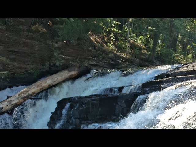 Ep 34 Thomas the Trailhound: Proof of Flight 