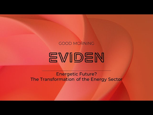 Energetic Future? The Transformation of the Energy Sector